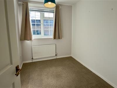 Picture 24